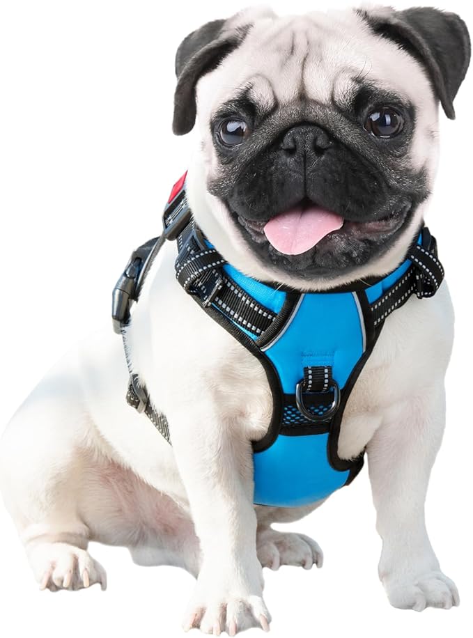PHOEPET Reflective Dog Harness Large Breed Adjustable No Pull Vest with Handle 2 Metal Rings 3 Buckles [Easy to Put on & Take Off](L, Blue)