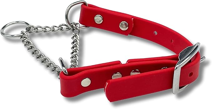 Martingale Collar for Dogs, Biothane, Stainless Steel Hardware, No Pull, Made in The USA, Professional Grade, Small, Red