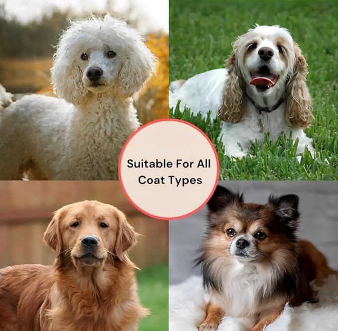 Big G Dog Slicker Brush for Professional Grooming - Fluff, Detangle & Style Goldendoodles, Labradoodles, Poodles & Long-Haired Dogs - Large Coral Curved Brush, Saves Time & Energy