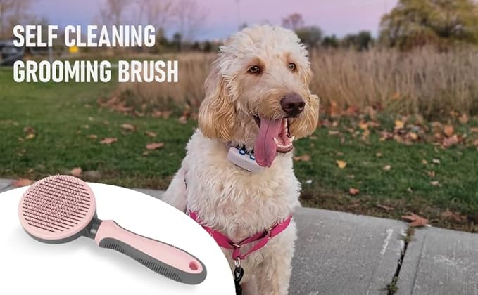 AndroPets - Self-Cleaning Grooming Brush for Dogs and Cats | Removes Loose Undercoat, Mats, and Tangled Hair | Deshedding Tool and Massage Brush (Green)