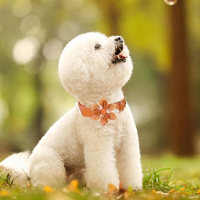 Fall Dog Collar with Flower, Orange Plaid Flower Dog Collar, Boy Girl Dog Collars for Small Medium Large Dogs