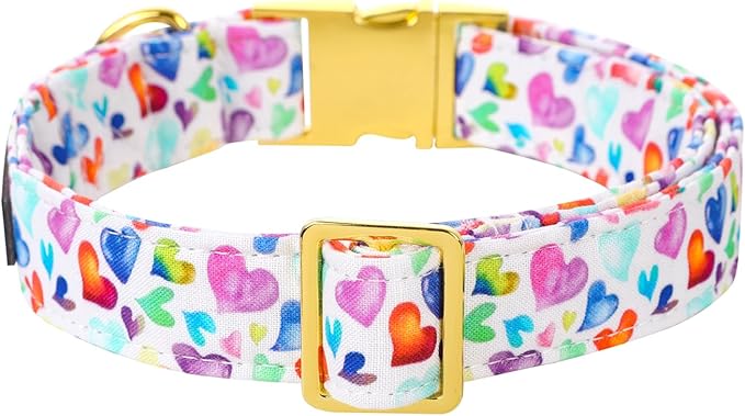 Lionet Paws Valentine Day Dog Collar, Heavy-Duty Cute Colorful Heart Pattern Collar with Metal Buckle Pet Necklace for Medium Large Dog Gift, Neck 16-24 inches