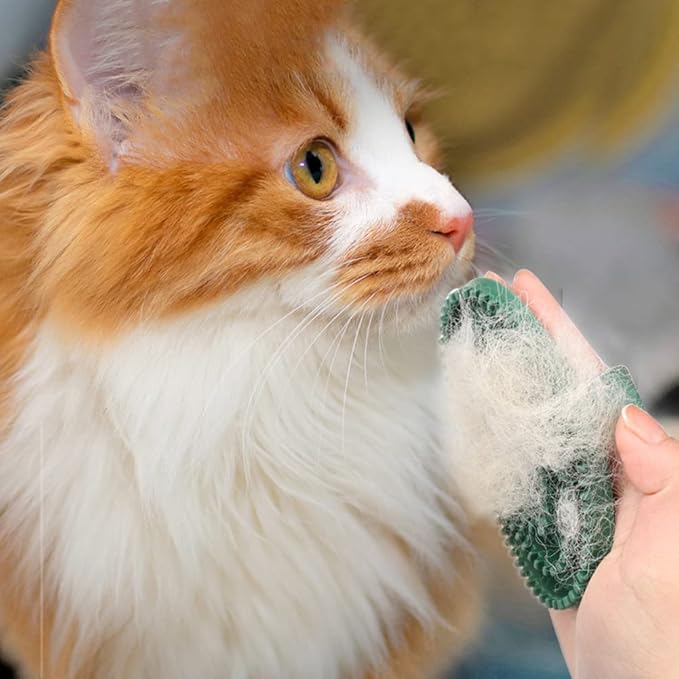 4 Pack Dog Grooming Brush Bath Washing Massage Brush with Handle Pet Shower & Bath Tools for Short & Long Haired Dogs and Cats