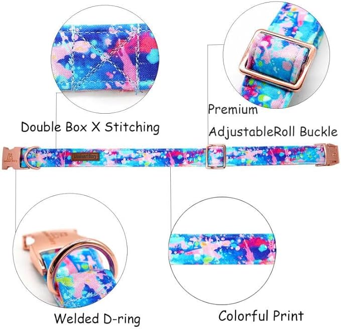 Lionheart glory Dog Collar Colorful Dog Collar Premium Collar Dogs Cute Pet Collar Gift for Small Medium Large Dog