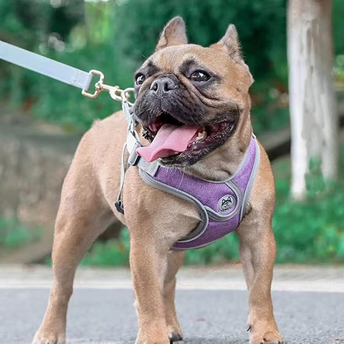 Step-in Dog Harness, Adjustable Reflective Small Dog Harness and Leash Set, Soft Air Mesh Vest Kit for Small Medium Breed Puppy and Cats