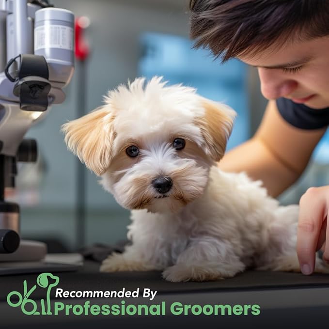 Best Shot Scentament Spa Botanical Body Splash, Detangler Spray, Body Spray for Pets, Cat and Dog Cologne Spray, Mandarin Jasmine Honey, 8 Oz.