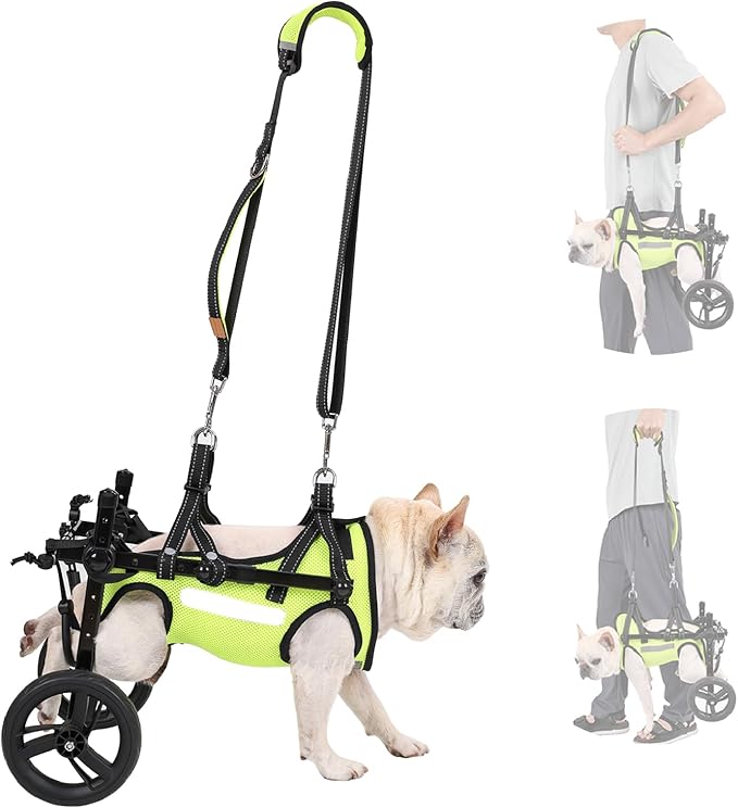 Adjustable Dog Wheelchair for Back Legs, Max 22 lbs - Includes High-Visibility Vest, Leash & Sling Lift, for Paralyzed, Injured, or Disabled Dogs