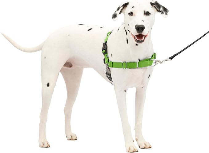 PetSafe Easy Walk No-Pull Dog Harness - The Ultimate Harness to Help Stop Pulling - Take Control & Teach Better Leash Manners - Helps Prevent Pets Pulling on Walks, Medium/Large, Apple Green/Gray