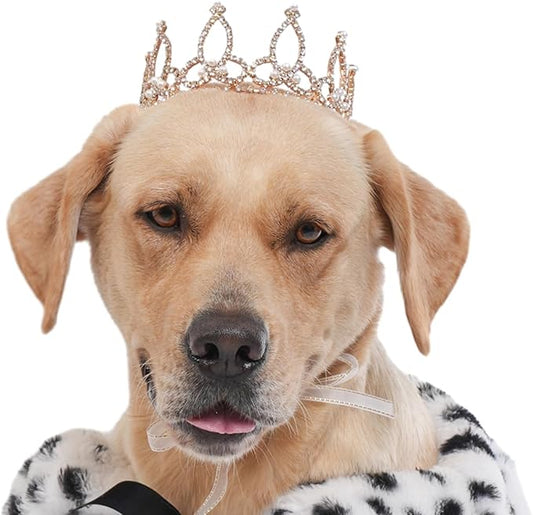 Lovelyshop Pet Series Gold Plated Royal Rhinestone Pearl Full Round Dog/Cat Crown for Rolyal Family Costume Hair Accessories-XLarge Size
