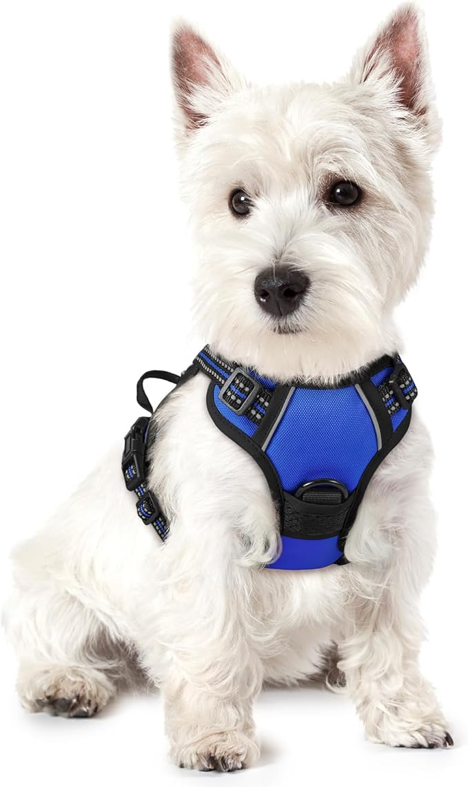 rabbitgoo Dog Harness, No-Pull Pet Harness with 2 Leash Clips, Adjustable Soft Padded Dog Vest, Reflective No-Choke Pet Oxford Vest with Easy Control Handle for Small Dogs, Dazzling Blue,XS