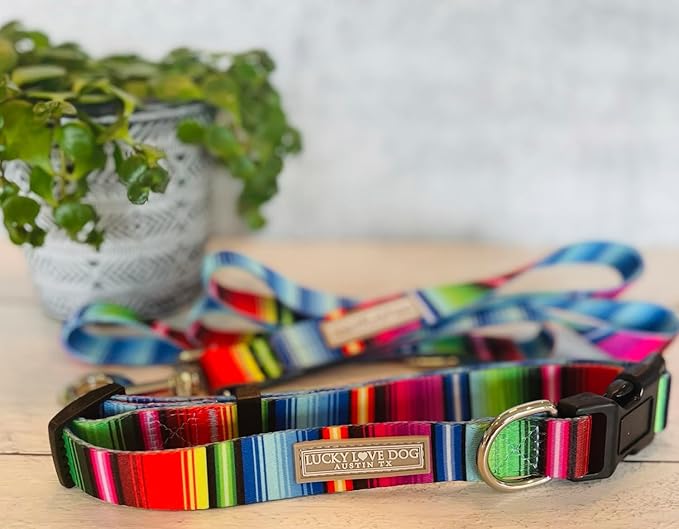 Lucky Love Dog Combo Set, Colorful Striped Dog Collar & Leash Set, Matching Collar and Leash for Large Girl or Boy Dogs, Nacho Combo, Large