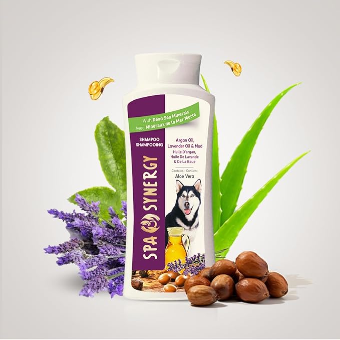 Pet Dog Shampoo Mud and Natural Dead Sea Mineral Rich, Aloe Vera & Vitamin-E, Anti Dandruff, Relief Psoriasis & Eczema, Moisturizing - Argan Oil & Lavender Oil - (1) Bottle 16.5 FL OZ