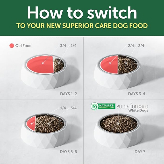 Nature's Protection Superior Care Grain Free Dry Dog Food - Healthy Dog Food Junior Dogs - Balanced, Super Premium Junior Dog Food - 1 Pack of 22lb Fish Flavor