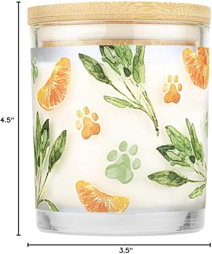 One Fur All Pet House Candle 2 Pack - Plant-Based Soy Candle - Long Lasting Pet Odor Elimination - Mandarin Sage Scent