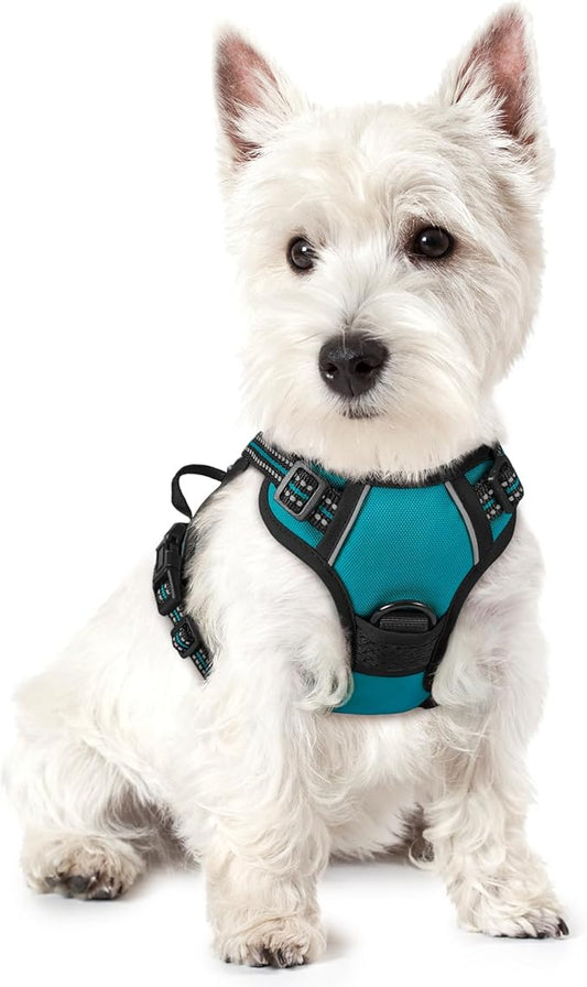rabbitgoo Dog Harness, No-Pull Pet Harness with 2 Leash Clips, Adjustable Soft Padded Dog Vest, Reflective No-Choke Pet Oxford Vest with Easy Control Handle for Large Dogs, Teal, X-Small