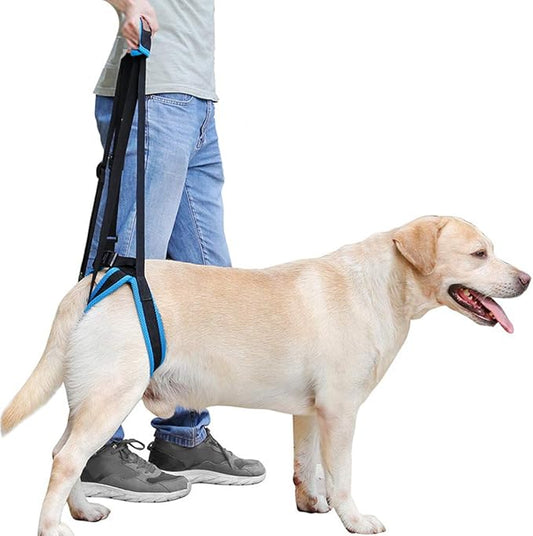 Adjustable Pet Dogs Lift Support Harness Breathable Mesh Padded Sling Straps Canine Support Rehabilitation for Injuries Arthritis Weak hind Legs & Joints, Blue (M)