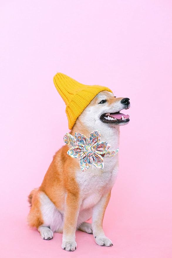 Uniqe Style Paws Flower Dog Collar, Adjustable Dog Collar with Flower, Durable Rainbow Floral Pattern Pet Collar for X-Large Dogs