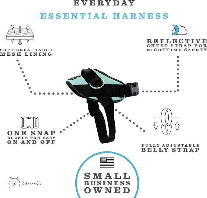 ShawnCo Essential Dog Harness, No-Pull Pet Vest with 3 Leash Clips, No Choke, Reflective, Adjustable and Padded, for Easy Walking and Training for Small, Medium and Large Dogs (Seafoam, XL)