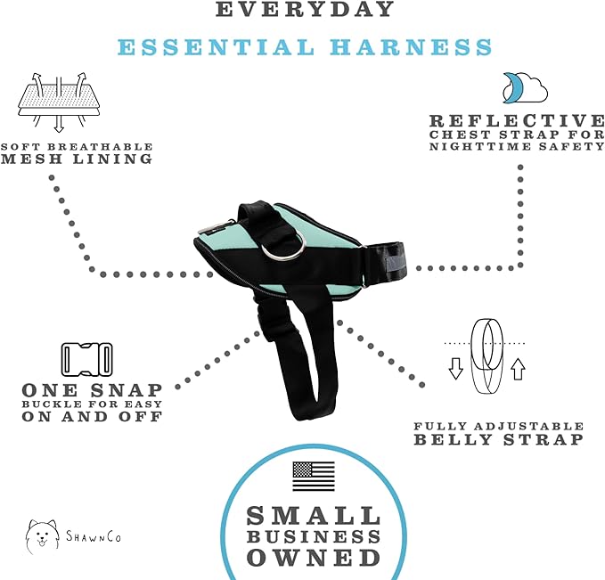 ShawnCo Essential Dog Harness, No-Pull Pet Vest with 3 Leash Clips, No Choke, Reflective, Adjustable and Padded, for Easy Walking and Training for Small, Medium and Large Dogs (Seafoam, M)