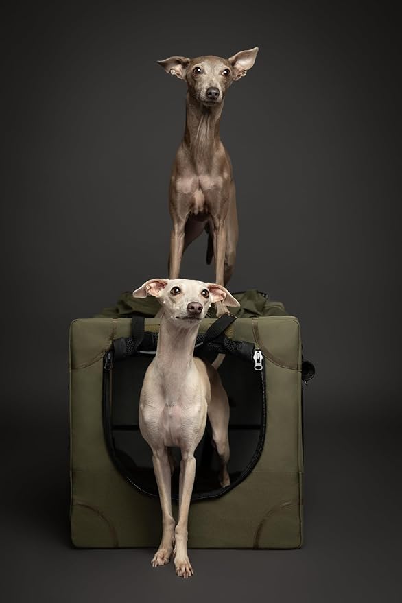 Noah & Paw Collapsible Dog Crate 26 Inch, Small Dog Crate for Small Medium Breeds, Travel Kennel for Car, Including Pet Mat for Pet Cage, 2 Storage Pockets, Handbag, 10mm Locking Zipper 26 * 17 * 17