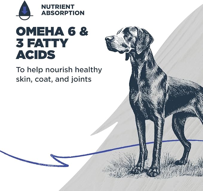 Blackwood Grain Free Dry Dog Food, Chicken & Field Pea Recipe, 10 Pound Bag for All Life Stages, Slow Cooked with Vitamins & Minerals for a Balanced Diet