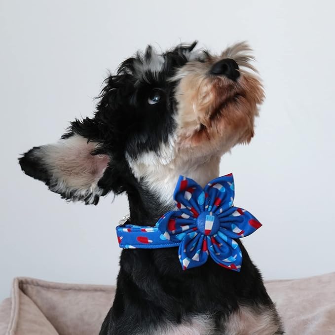 Lionet Paws Patriotic Female Dog Collar with Flower, 4th of July, Soft and Comfortable Adjustable Summer Popsicle Collar for Puppies and Cats, XS, Neck 8-12 inches