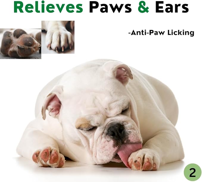 Dog Dry Shampoo for Smelly Dogs | Waterless Dry Dog Shampoo Powder | Anti Itch Shampoo for Dogs | Skin Ear & Paw | Tea Tree Oil | Talc Free with Organic White Clay Vegan | No Plastic