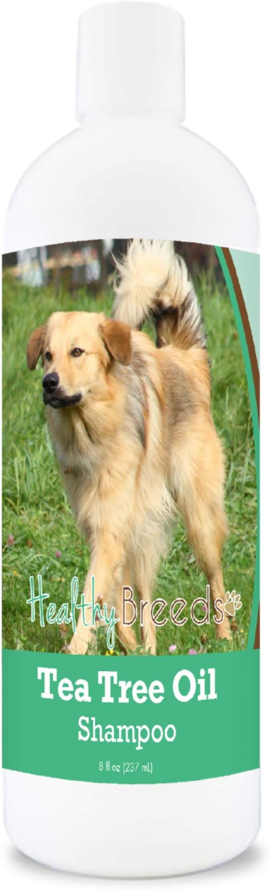 Healthy Breeds Chinook Tea Tree Oil Shampoo – Formulated for Dry, Irritated Skin – Reduce Dandruff – Wintergreen Scent – 8 oz