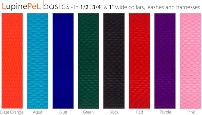 LupinePet Basics 1" Black 12-20" Adjustable Collar for Medium and Larger Dogs