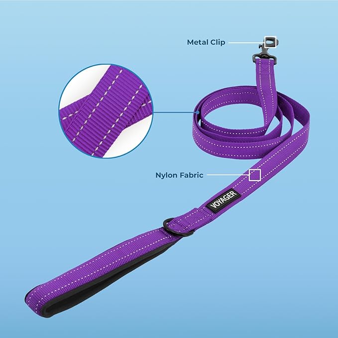 Voyager Reflective Dog Leash Collar Set with Neoprene Handle Supports Small, Medium, and Large Breed Puppies, Cute and Heavy Duty for Walking, Running, and Training - Purple, M