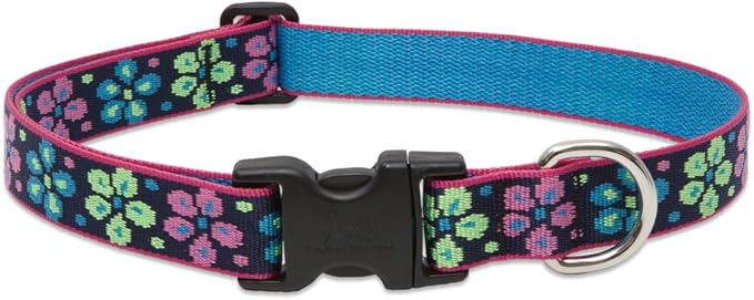 LupinePet Originals 1" Flower Power 12-20" Adjustable Collar for Medium and Larger Dogs