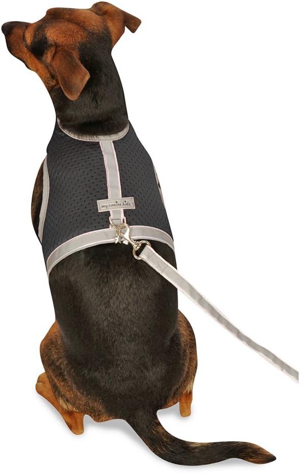 Athletic Mesh Dog Harness for Teacup, Teacup 2 - Small Dogs and Puppies | Reflective Trim and Comfortable Velcro Closure