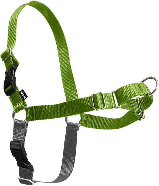 PetSafe Easy Walk No-Pull Dog Harness - The Ultimate Harness to Help Stop Pulling - Take Control & Teach Better Leash Manners - Helps Prevent Pets Pulling on Walks, Medium, Apple Green/Gray