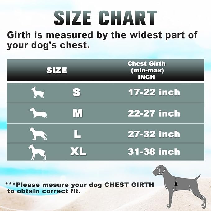 BARKBAY No Pull Dog Harness Large Reflective Dog Harness with Front Clip and Easy Control Handle for Walking Training Running with ID tag Pocket(Ocean Blue,S)