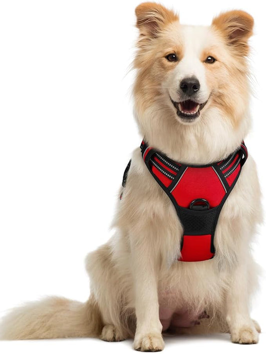 rabbitgoo Dog Harness, No-Pull Pet Harness with 2 Leash Clips, Adjustable Soft Padded Dog Vest, Reflective No-Choke Pet Oxford Vest with Easy Control Handle for Medium Dogs, Red, M