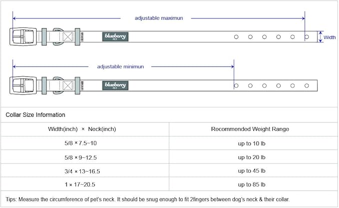 Blueberry Pet 6 Colors The Most Coveted Designer Mixed Metallic Thread Adjustable Dog Collar in Dazzling Tinsel Purple with Metal Buckle, Neck 9-12.5", for Small Breed