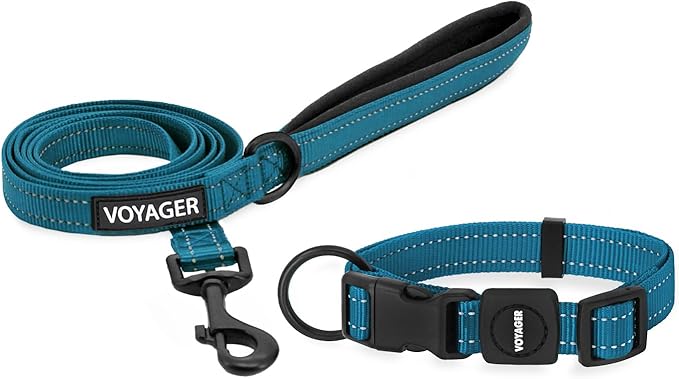 Voyager Reflective Dog Leash Collar Set with Neoprene Handle Supports Small, Medium, and Large Breed Puppies, Cute and Heavy Duty for Walking, Running, and Training - Turquoise, L