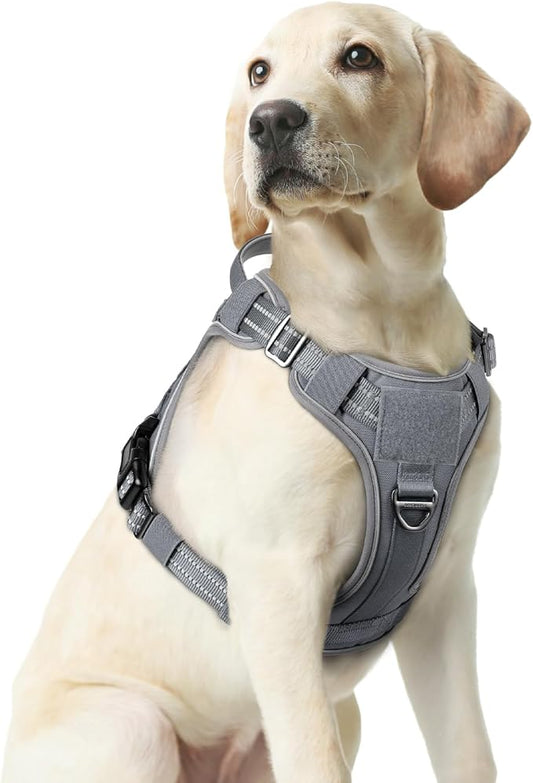 rabbitgoo Dog Harness Medium Sized No Pull, Tactical Service Dog Vest with Molle and Control Handle, Adjustable and Reflective Military Pet Harness for Easy Walking and Training, Grey, M