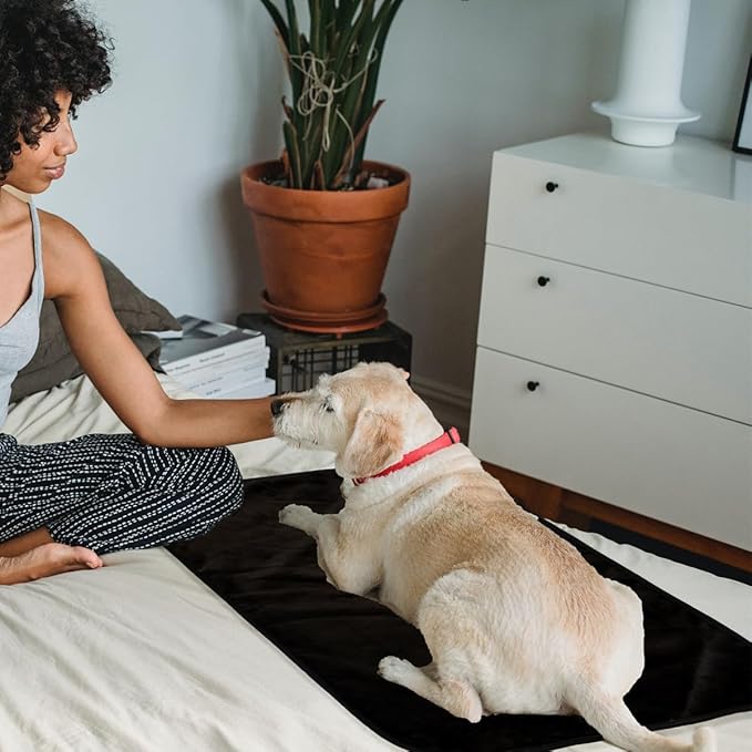 Bucephalus Waterproof Dog Blanket, Thick Reversible Soft Pet Blankets for Couch Bed Protection, Pee Proof Sherpa Fleece Blanket for Small Medium Large Dogs Puppy Cats Washable (Black, 25"×35")