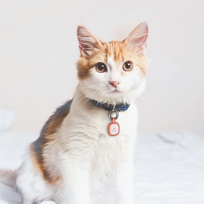 Pawaii QR Code Pet ID Tag, Silent Silicone Dog ID Tag, Modifiable Pet Online Profile, Free Online Pet Page Emergency Contact, Scan QR Receive Instant Pet Location Alert Email, 1Pack (Sky Blue)