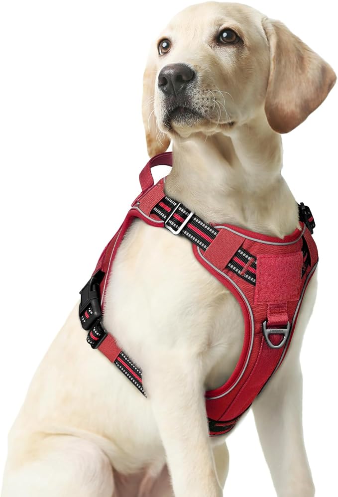rabbitgoo Dog Harness Medium Sized No Pull, Tactical Service Dog Vest with Molle and Control Handle, Adjustable and Reflective Military Pet Harness for Easy Walking and Training, Red, M