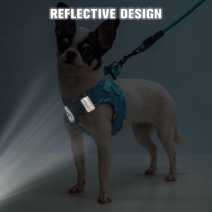 BEAUTYZOO Dog Harness and Leash Set for Small Medium Dogs,No Pull Step-in Harness for Puppy S M Sized Dogs and Cats,Air Mesh Adjustable Breathable Soft No Chock Escape Proof Vest Harness,Sky Blue S