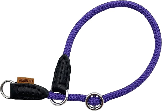 Braided Rope Collar, Pro Training Dog Collar, No Pull Round Martingale Collar, Slip Collar with Slidable Stop Ring - Ideal for Extra Small Dogs (XS (1/4") - 14" Long, Purple)