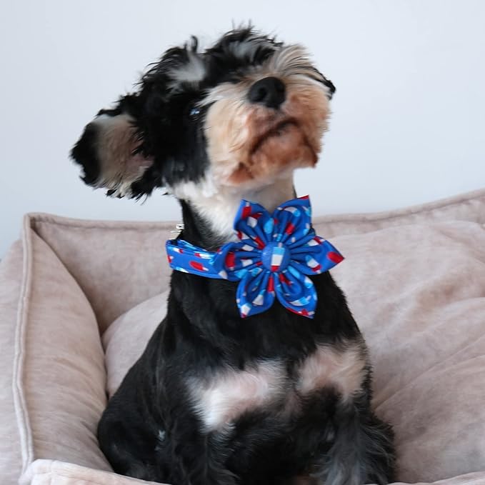 Lionet Paws Patriotic Female Dog Collar with Flower, 4th of July, Soft and Comfortable Adjustable Summer Popsicle Collar for Dogs, Small, Neck 10-16 inches