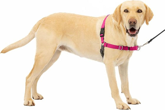 PetSafe Easy Walk No-Pull Dog Harness - The Ultimate Harness to Help Stop Pulling - Take Control & Teach Better Leash Manners - Helps Prevent Pets Pulling on Walks, Large, Raspberry/Gray