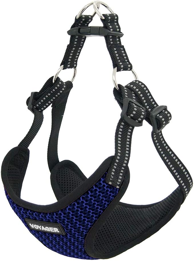 Best Pet Supplies Voyager Adjustable Dog Vest Harness Breathable No Pull Harness for Small, Medium, Large Dogs, Harness for Walking, Jogging, Easy Step-In, Reflective Stripes - (Baby Blue), XL