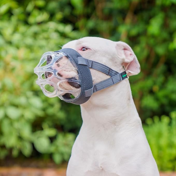 Baskerville INVISA Basket Dog Muzzle - Patented Humane Design with Facial Visibility, Padded Nose Band, Dog can Pant and Drink, Prevents Biting and Scavenging. Muzzle for Large Dogs (Size 6)