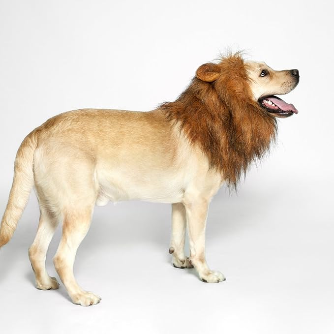 Realistic & Funny Lion Mane for Dogs Complementary Lion Mane for Dog Costumes for Medium to Large Sized Dogs Costumes for Animals