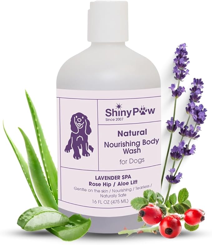 Lavender Shampoo Spa Essentials Nourishing Dog Body Wash 16 oz by Shiny Paw | Anti Itch Shampoo for Dogs | Dog Bath Coat Cleansing for Dogs | Made in The USA