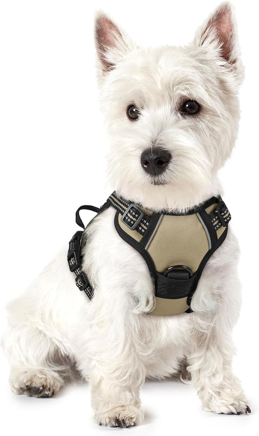 rabbitgoo Dog Harness, No-Pull Pet Harness with 2 Leash Clips, Adjustable Soft Padded Dog Vest, Reflective No-Choke Pet Oxford Vest with Easy Control Handle for Small Dogs, Beige, XS